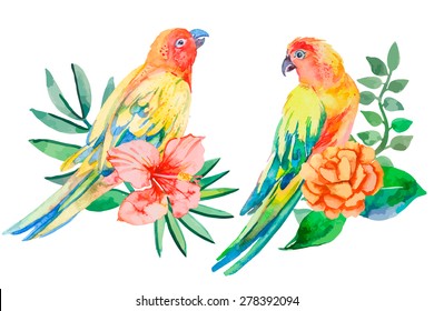 Tropical birds isolated on white background. Palm leaves and tropical flower. Parrot. Art. Vector.Palm leaves and tropical flower.