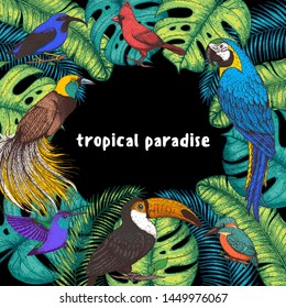 Tropical birds and palm leaves vector illustration. Colorful toucan, cardinal bird, kingfisher, hummingbird, parrot, bird of paradise. Hand drawn illustration. Summer design template. Tropical fauna