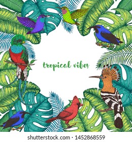 Tropical birds and palm leaves vector illustration. Colorful cardinal bird, kingfisher, hummingbird, quetzal. Hand drawn illustration. Summer design template. Tropical fauna