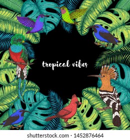 Tropical birds and palm leaves vector illustration. Colorful cardinal bird, kingfisher, hummingbird, quetzal. Hand drawn illustration. Summer design template. Tropical fauna