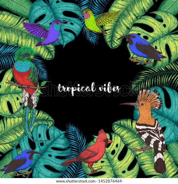 Tropical birds and palm\
leaves vector illustration. Colorful cardinal bird, kingfisher,\
hummingbird, quetzal. Hand drawn illustration. Summer design\
template. Tropical\
fauna