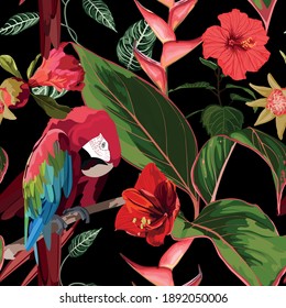 Tropical birds parrot, exotic jungle plants, leaves, red flowers abstract seamless black background.