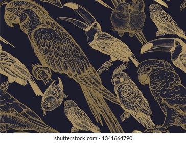 Tropical birds. Parrots and toucans. Seamless vector background. Wildlife pattern. Retro vintage. Old engraving style. Pattern for paper, wallpaper, textile, Hawaiian shirts. Black and gold foil.