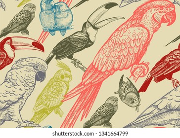 Tropical birds. Parrots and toucans. Seamless vector background. Wildlife pattern. Retro vintage. Old engraving style. Pattern for paper, wallpaper, textile, Hawaiian shirts. Color ornament.