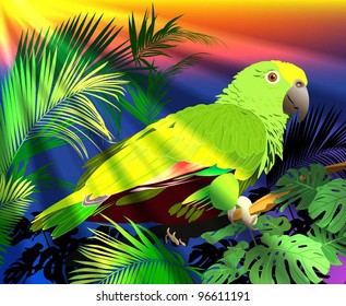 tropical birds (parrots vector image)