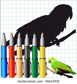 tropical birds (parrots vector image)