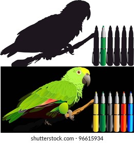 tropical birds (parrots vector image)