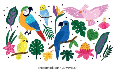 Tropical birds and plants. Caribbean wildlife. Rainforest exotic flower and leaves. Jungle animals. Bright parrots on branches. Rainforest nature. Vector Hawaiian summer