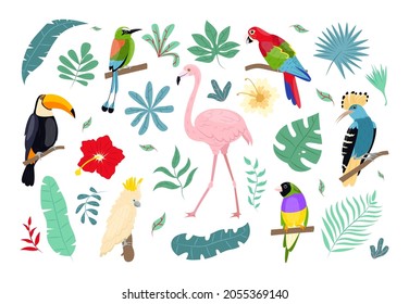 Tropical birds and plants. Jungle wildlife, caribbean flora and fauna, hawaiian bright flowers, exotic leaves, paradise elements, pink flamingo, toucan and peacock, vector cartoon isolated set