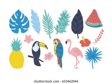 Tropical birds and plants set. Hand drawing vector elements isolated on white background