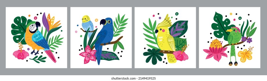 Tropical birds posters. Funny rainforest creatures. Bright parrots and jungle plants compositions. Exotic animals. Parakeet or macaw on palm branches. Vector summer