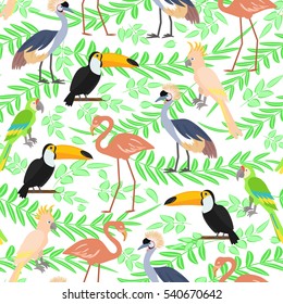 Tropical birds seamless pattern background. Vector illustration