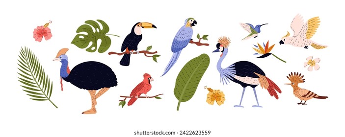 Tropical birds, set of cartoon style vector illustration isolated on white background. Different bright birds, rare unusual flowers and leaves. Tropical plants and animals for design