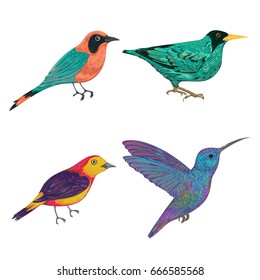 Tropical birds set. Exotic fauna. Isolated elements. Vintage hand drawn vector illustration in watercolor style