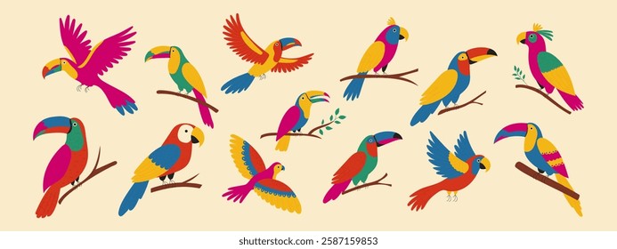 Tropical birds set. Exotic parrots, cockatoo, toucan. Vector illustration.