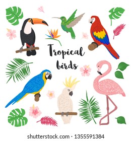 Tropical birds set with floral elements isolated on white background in hand drawn style. Exotic birds collection. Concept of wildlife and nature. Vector illustration.