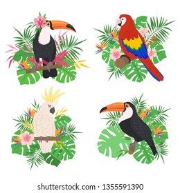 Tropical birds set with floral elements isolated on white background in hand drawn style. Exotic birds collection. Concept of wildlife and nature. Vector illustration.