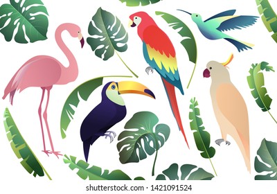 Tropical birds set: parrots, flamingo and toucan. Palm and monstera leaves, jungle leaf.  Collection on the white background. Vector illustration