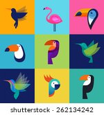 Tropical birds - toucan, flamingo, parrot and hummingbird
