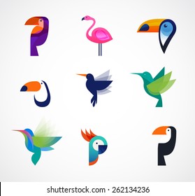 Tropical birds - toucan, flamingo, parrot and hummingbird