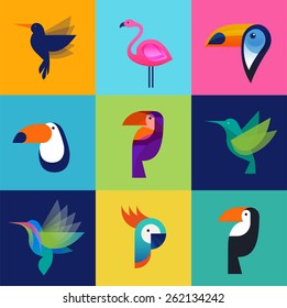 Tropical birds - toucan, flamingo, parrot and hummingbird