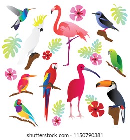 Tropical birds vector illustration collection set. Colorful and exotic nature. Parrot, toucan, flamingo and other flying creatures. Green decorative leaves and flowers. Holiday and paradise symbol.