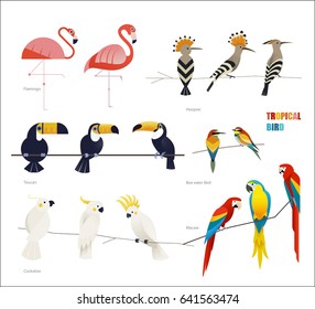 Diseño plano de Ilustración vectorial de aves tropicales