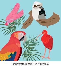 tropical birds vector set, Ibis, parrot, kookaburra, spoonbill
