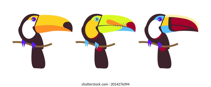 Juego de vectores de aves tropicales. Carbón de arcoiris, toco, bigote de Keel, garrote de blanco, cuviers toucan. Animales salvajes para zoológico y concepto de naturaleza, libros para niños.