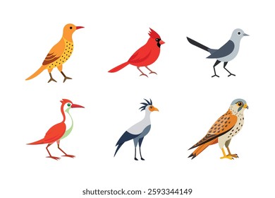 Tropical Birds Vector Set – Stylized Ornithology Illustrations