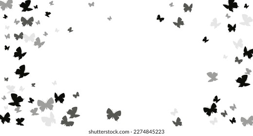 Tropical black butterflies abstract vector wallpaper. Summer beautiful moths. Fancy butterflies abstract dreamy background. Sensitive wings insects graphic design. Garden beings.