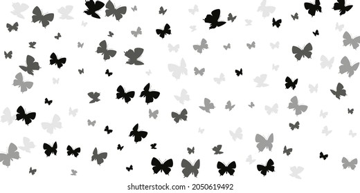 Tropical black butterflies cartoon vector background. Summer cute insects. Decorative butterflies cartoon dreamy illustration. Sensitive wings moths patten. Tropical beings.