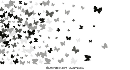 Tropical black butterflies cartoon vector illustration. Spring colorful moths. Fancy butterflies cartoon kids background. Tender wings insects patten. Tropical beings.