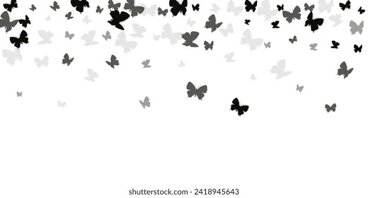 Tropical black butterflies cartoon vector background. Summer little moths. Wild butterflies cartoon dreamy wallpaper. Tender wings insects graphic design. Fragile creatures.