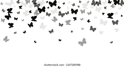 Tropical black butterflies flying vector wallpaper. Spring colorful insects. Fancy butterflies flying fantasy background. Sensitive wings moths patten. Fragile creatures.