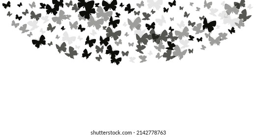 Tropical black butterflies isolated vector illustration. Summer ornate insects. Wild butterflies isolated kids wallpaper. Sensitive wings moths patten. Tropical creatures.