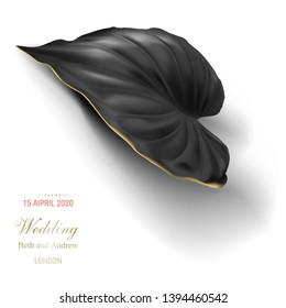 Tropical black and gold leaf on white background vector poster. Beautiful botanical golden design with tropic rainforest jungle exotic plant philodendron for invitation, greeting card or sale banners