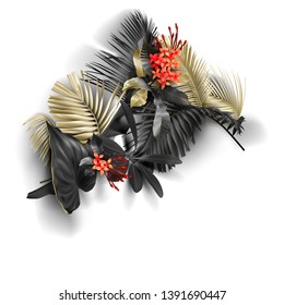 Tropical black and gold leaves on white background vector poster Beautiful botanical design with golden tropic jungle palm leaves, exotic red flower Wedding ceremony invitation card christmas greeting