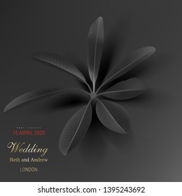 Tropical black leaves on dark background vector poster. Beautiful botanical design with golden inscription, tropic rainforest jungle leaves, exotic plants for invitation greeting cards, sales banners