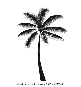 Tropical black palm silhouette, exotic tree on a white background.