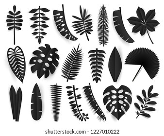 Tropical black paper cut leaves. Trendy summer exotic plants elemets with shadow isolated on white background. Black friday design elements. Origamy style vector illustration