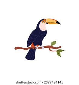 Tropical black toucan bird on the branch. Cartoon beautiful exotic wild bird with orange beak from rainforest. Vector illustration of jungle fauna animal red-billed toucan isolated on white