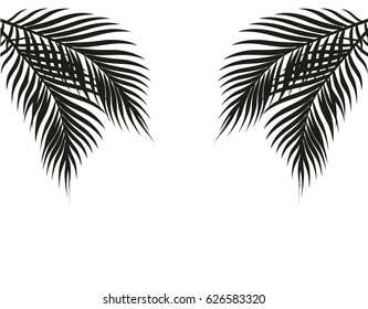 Tropical black and white palm leaves on both sides. Symmetrical. Isolated on white background. Vector illustration