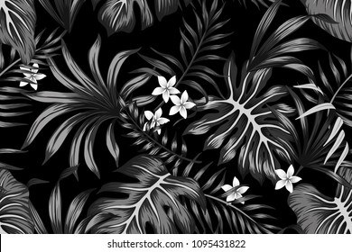 Tropical  black and white plumeria and palm leaves seamless pattern black background. Exotic wallpaper