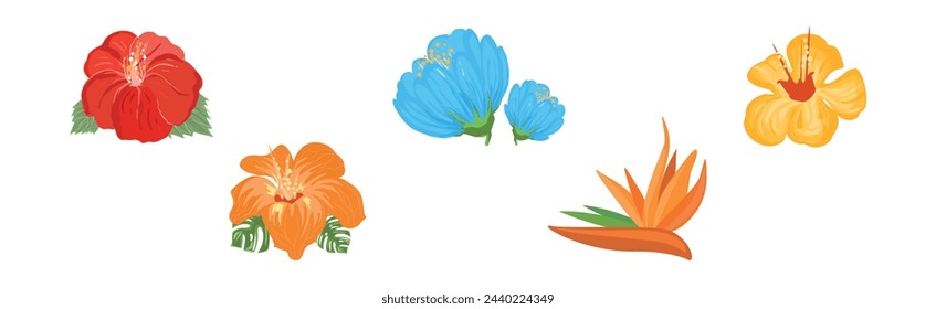 Tropical Blooming Flora and Botany Plant Vector Set