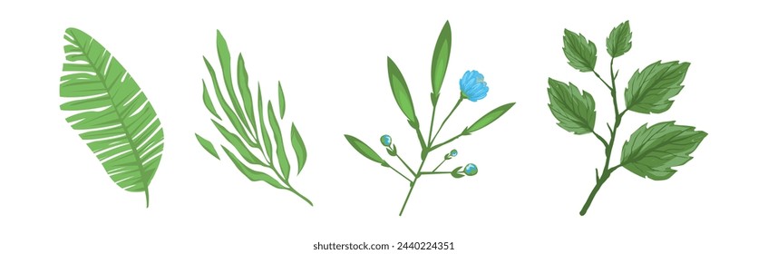 Tropical Blooming Flora and Botany Plant Vector Set