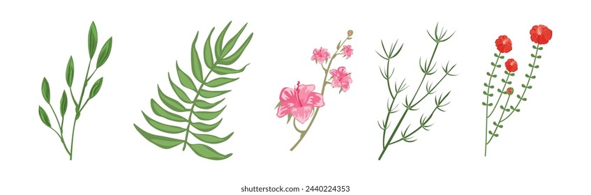 Tropical Blooming Flora and Botany Plant Vector Set