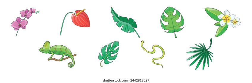 Tropical Blooming Flora and Botany Plant with Fauna Vector Set