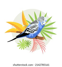 A tropical blue budgerigar sits on a branch with leaves of tropical plants. Vector illustration isolated on white background