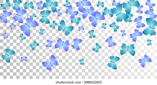 Tropical blue butterflies flying vector wallpaper. Summer little moths. Decorative butterflies flying baby illustration. Tender wings insects graphic design. Fragile beings.